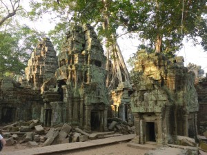 Angkor : Ta Prohm